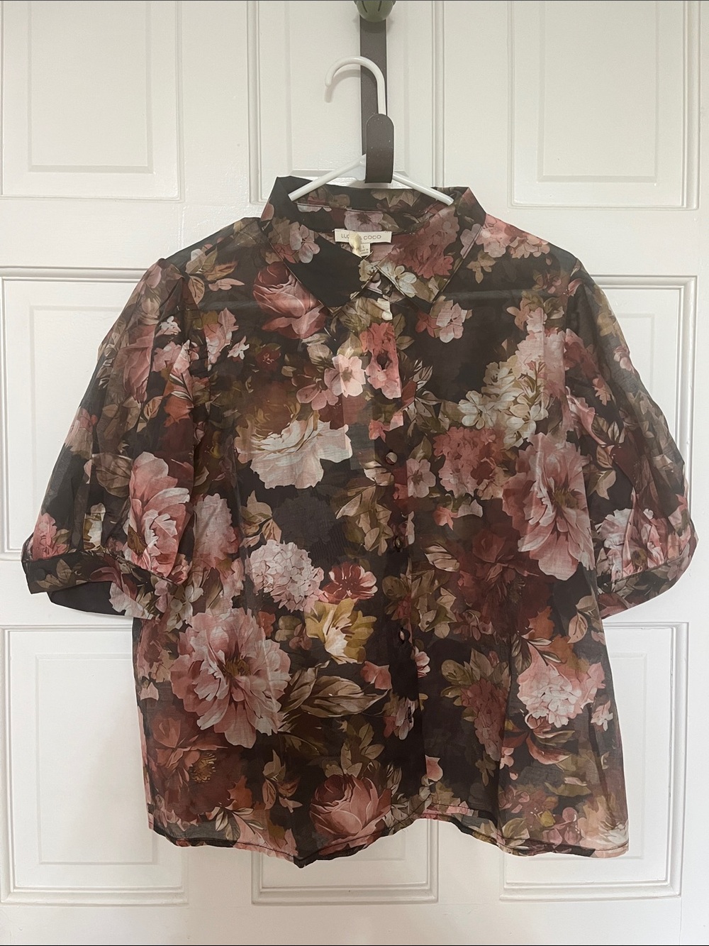 Sheer Floral Puff-Sleeve Blouse - Brown & Pink